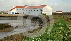 Tidal Mill