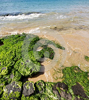 Tidal pool