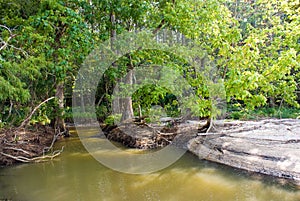 Tidal Pool