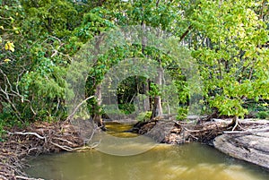 Tidal Pool