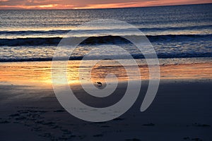 The tidal pool forms at waterside as the sunrise comes in the east