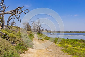 Tidal Pool Walking Path