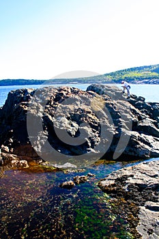 Tidal Pools in Acadia National Park