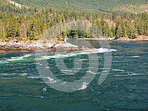 Tidal rapids at Skookumchuck Narrows