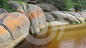 Tidal River Rocks