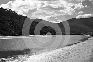 Tidal river at Wilson Promontory national park, Australia. Black and white photo.