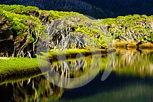 Tidal river wilsons prom photo