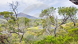 Tidal River, Wilsons Promontory National Park