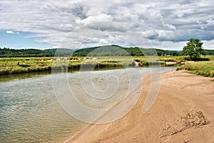 Tidal riverbank on the River Leven