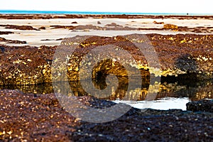 Tidal Rock Pool With Gold Colored Facade Reflected in the Calm Water