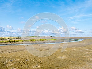 Tidal sand flats, stream and salt marsh of nature reserve Boschplaat on Frisian island Terschelling, Netherlands photo