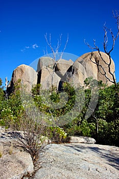 Tidbinbilla Nature Reserve, Australia