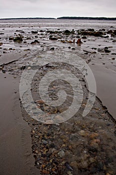 Tide Going Out from Beach in Maine