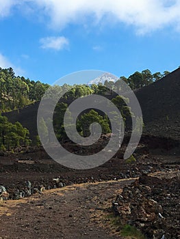 Tide. National Park Teide. Hiking on Tenerife.