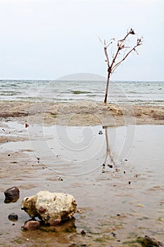 Tide on the North Sea