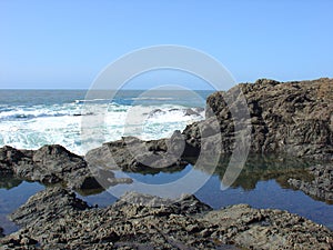 Tide pool photo