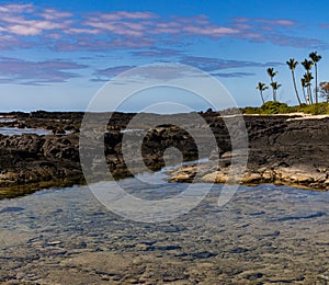 Tide Pool On The Volcanic Shoreline of Keiki Beach