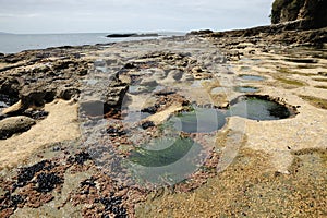 Tide pools