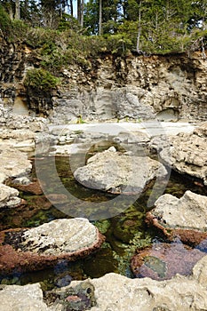 Tide pools