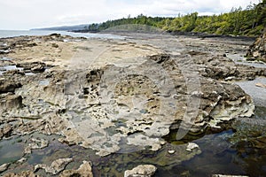 Tide pools on beach