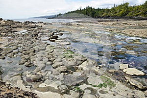 Tide pools on beach