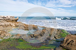 Tide Pools at Penguin Island