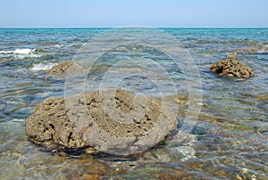 Tide pools and rock formations of Coral Cove Park in Tequesta, Florida. photo