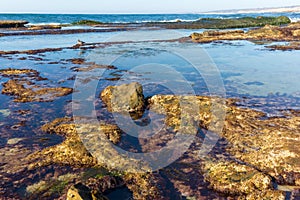 Tide Pools