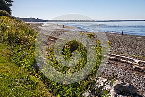 Tide recedes exposing tidal flats for family fun on beach