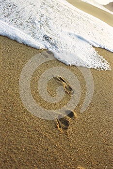 Tide Washing Over a Foot Print Covered Beach