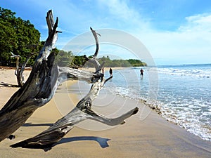 Tides of Costa Rica