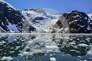Tidewater Glacier in Kenai Fjords National Park, AK photo