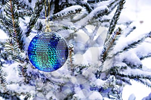 Tidewater green Christmas ball hangs on a snow-covered branch of a Christmas tree. New Year, greeting and holiday card
