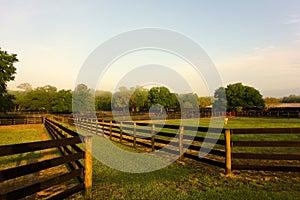 A tidy horse farm in ocala