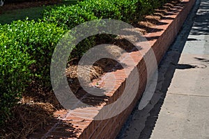 Tidy red brick retaining wall lined with boxwoods alongside a sidewalk