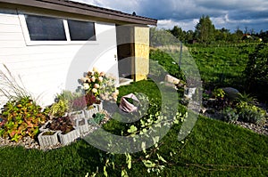 White wooden garden shed or hut with flowers and plants