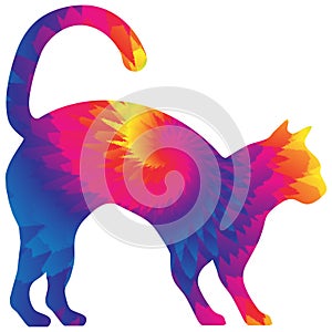 Tie Dye Cat in Bright Colors Isolated on White with Clipping Path for Sublimation Designs