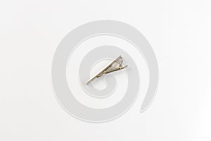 Tie pin isolated on white background