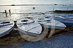 Tied down boats next to the beach