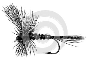 Tied Dry Fly