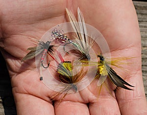 Tied flies for fly fishing bait