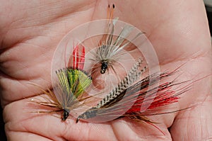 Tied flies for fly fishing bait