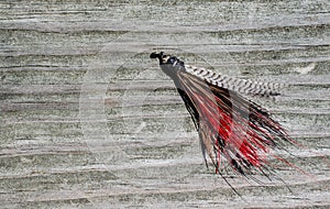 Tied flies for fly fishing bait