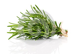 Tied fresh rosemary