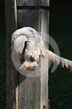 Tied knot in a wooden fence post with frayed rope.