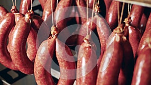 Tied-up sausages are hanging in a factory unit