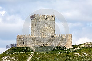 Tiedra castle, Valladolid Spain photo