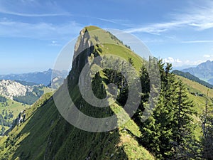 Tierberg mountain above the Oberseetal valley and in the Glarus alps mountain masiff, Nafels Naefels