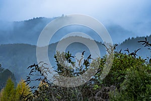 Tiered mountains shrouded in mist