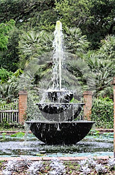 Tiered Water Fountain photo
